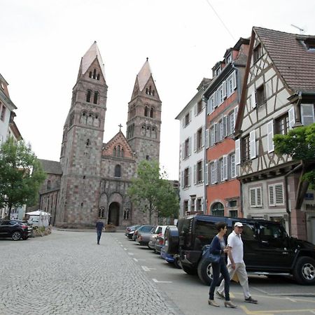 Gite Les Tourterelles Selestat - 30Min Europapark Eksteriør billede
