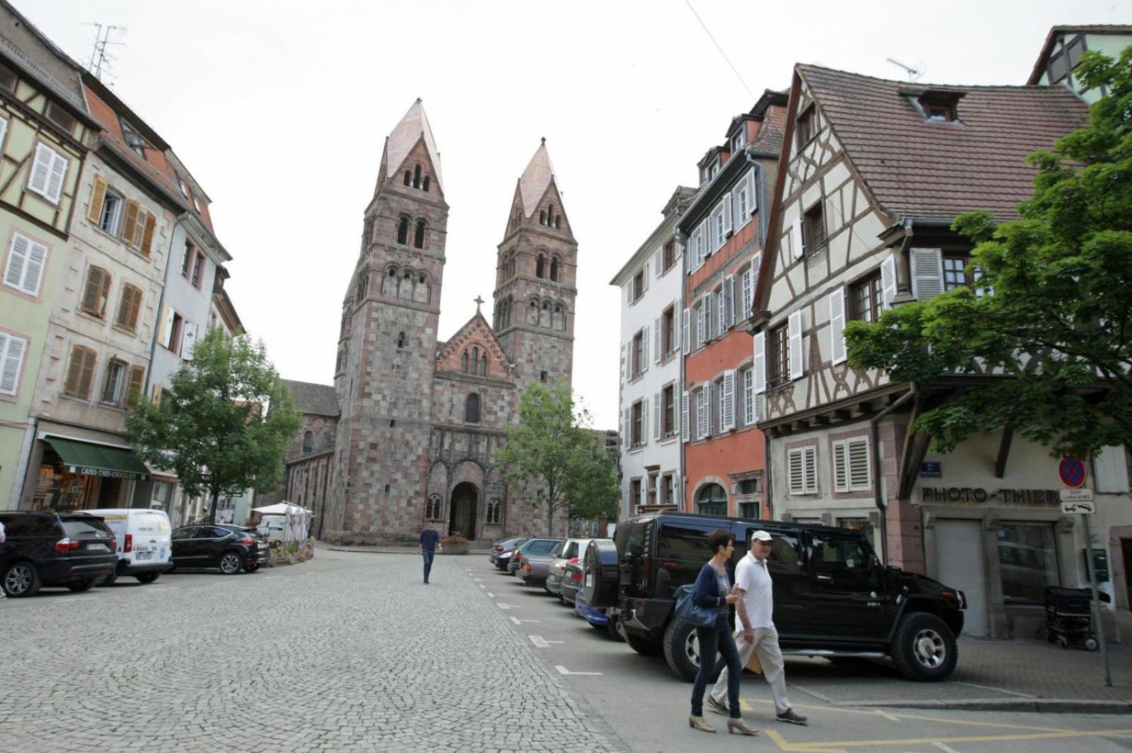 Gite Les Tourterelles Selestat - 30Min Europapark Eksteriør billede